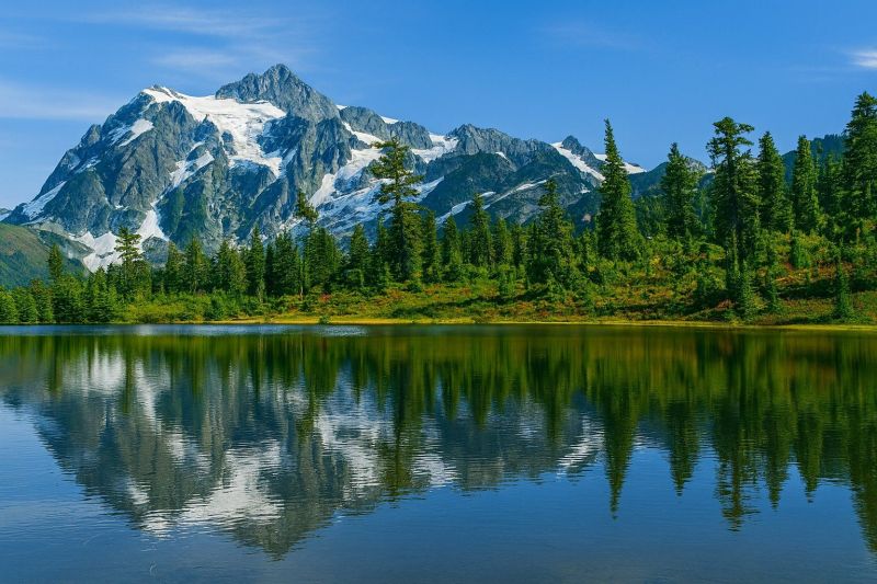 Best Tub To Shower Conversion pros in Maple Valley, WA
